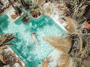 A swimming pool surrounded by palm trees and tropical plants.