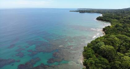 Lilan Nature, Modern House N°2 with private swimming pool, Tennis and Pickleball