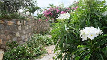 Design Room, Beach View, Garden Area | Garden