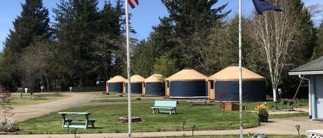 A grassy area with two flagpoles, one with an American flag and one with a blue flag, and several yurts in the background.