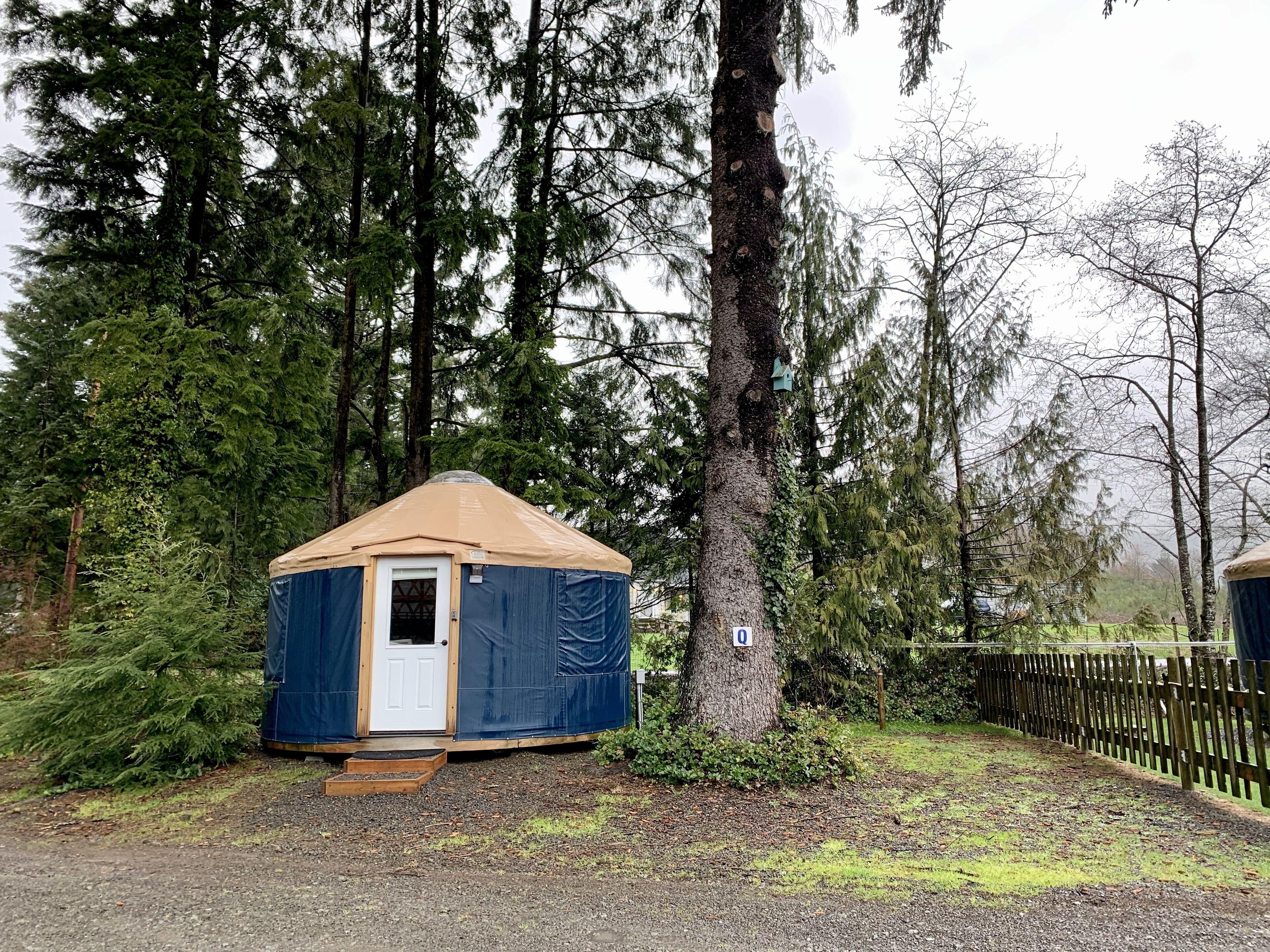 A small, single-room yurt with a door and a small porch, surrounded by dense forest.