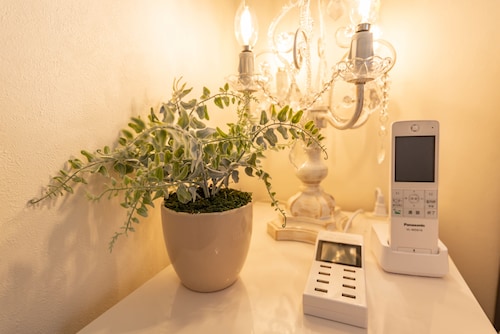 客室の設備とサービス