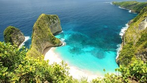 Un paisaje costero con vista despejada al océano, una playa de arena y vegetación exuberante.