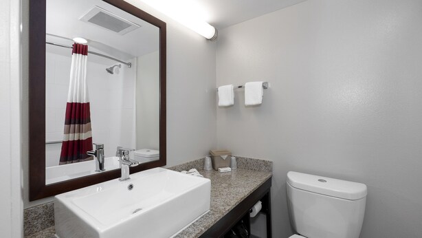 A bathroom with a white sink, a mirror, a shower curtain, and a toilet. - Red Roof Inn PLUS+ Tuscaloosa - University (Tuscaloosa)