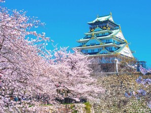Un castello tradizionale giapponese con più livelli, circondato da alberi di ciliegio in fiore.