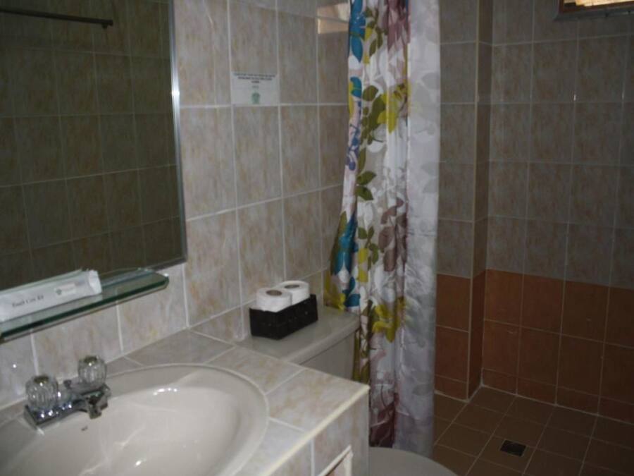 Une salle de bain équipée d’un lavabo, d’un miroir, de toilettes et d’un rideau de douche.