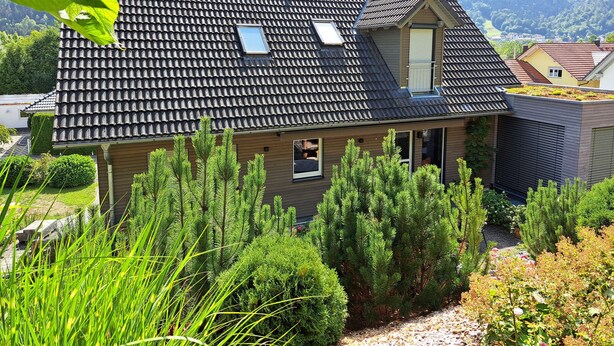 A house with a sloped roof, a small attic window, and a garden with various plants and shrubs.