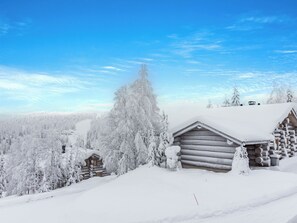 Eksteriør