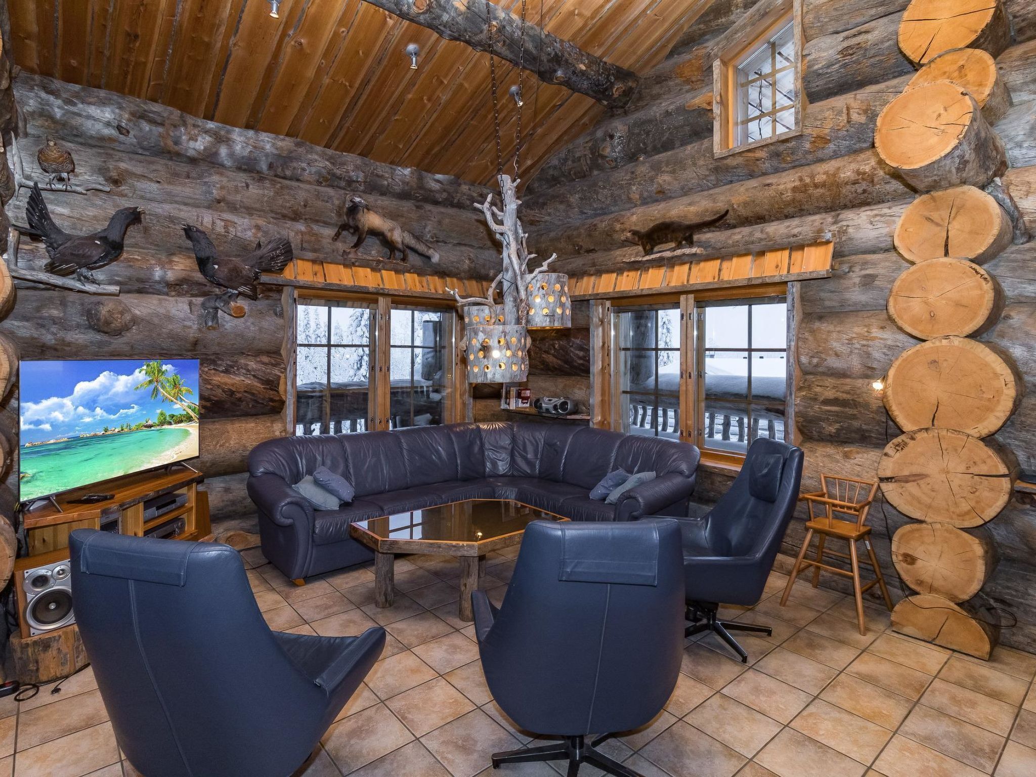 Televisio, DVD-soitin