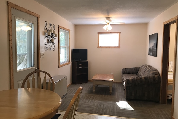 Living Room (with pull out couch)