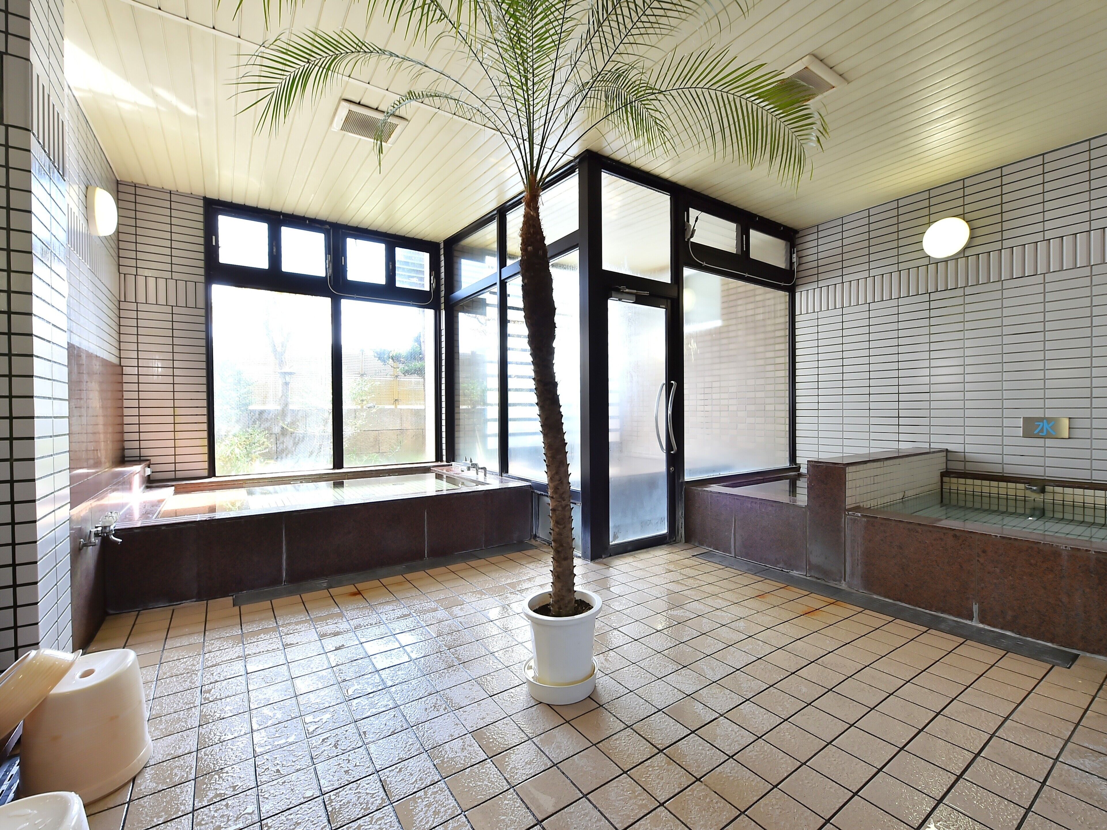A modern bathroom with a large window, a bathtub, and a potted plant.
