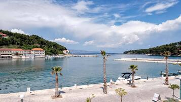 A coastal marina with boats, palm trees, and a clear sky.