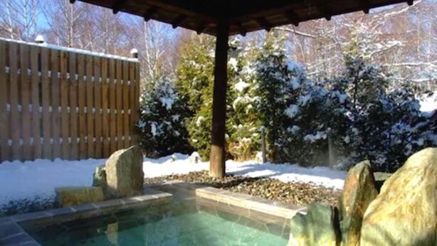 Un espace avec un bain à remous, accessible par des marches en pierre menant à l’eau, entouré d’arbres couverts de neige et délimité par une clôture en bois.
