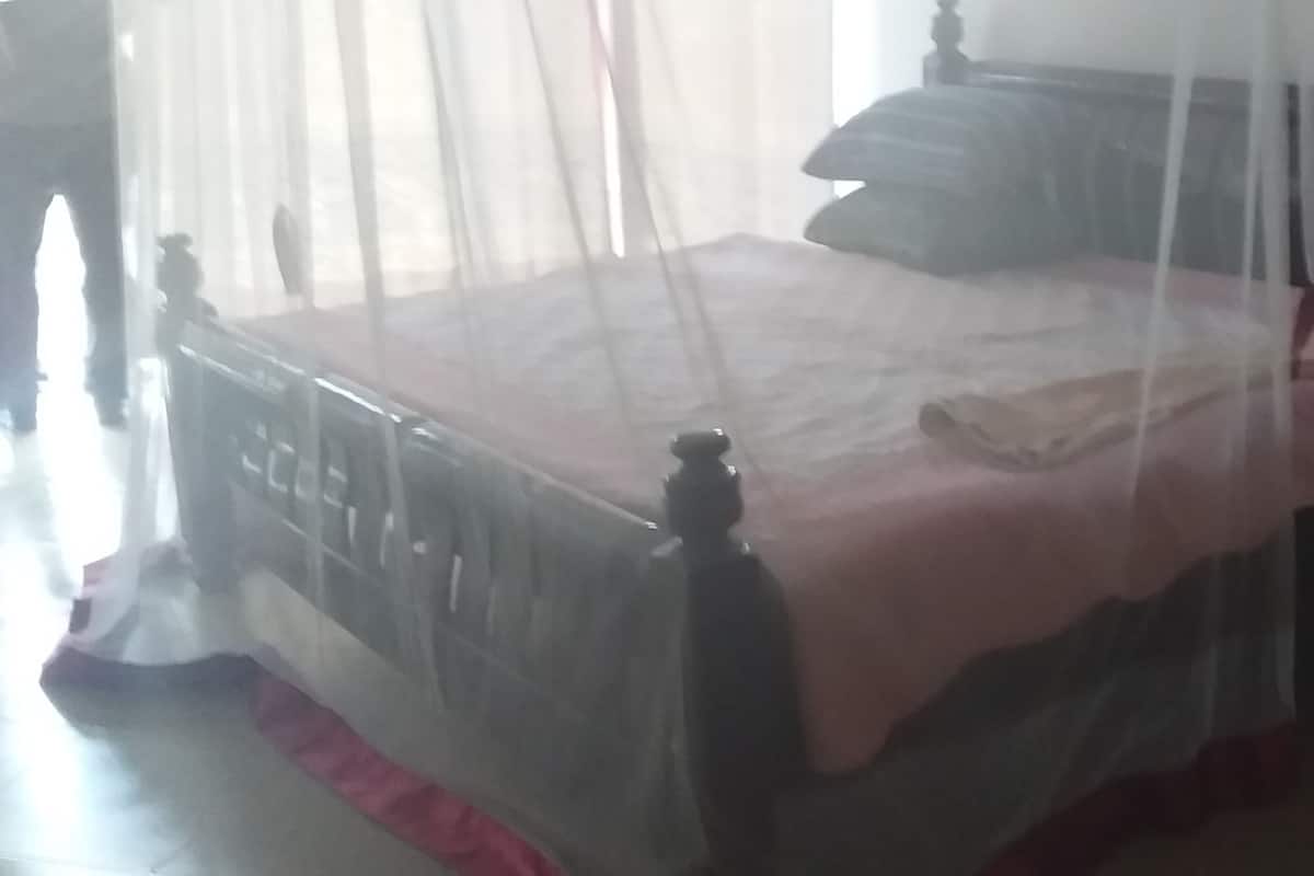 Single Room | Bed sheets