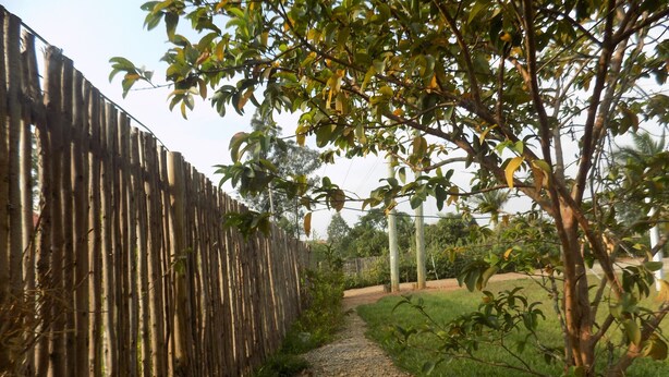 A gravel path leading through a garden with a wooden fence on one side and a tree on the other. - Sky Resort (Kitagata)