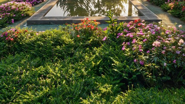 Ein friedlicher Garten mit einem Teich, umgeben von üppiger Vegetation und blühenden Pflanzen.