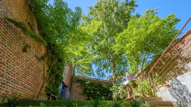 Pátio com muro de tijolos, uma árvore e diversas plantas.