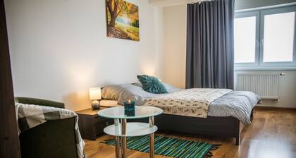 Apartment Eric 9D High Tatras