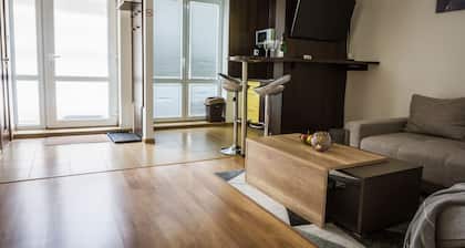 Apartment Eric 9D High Tatras