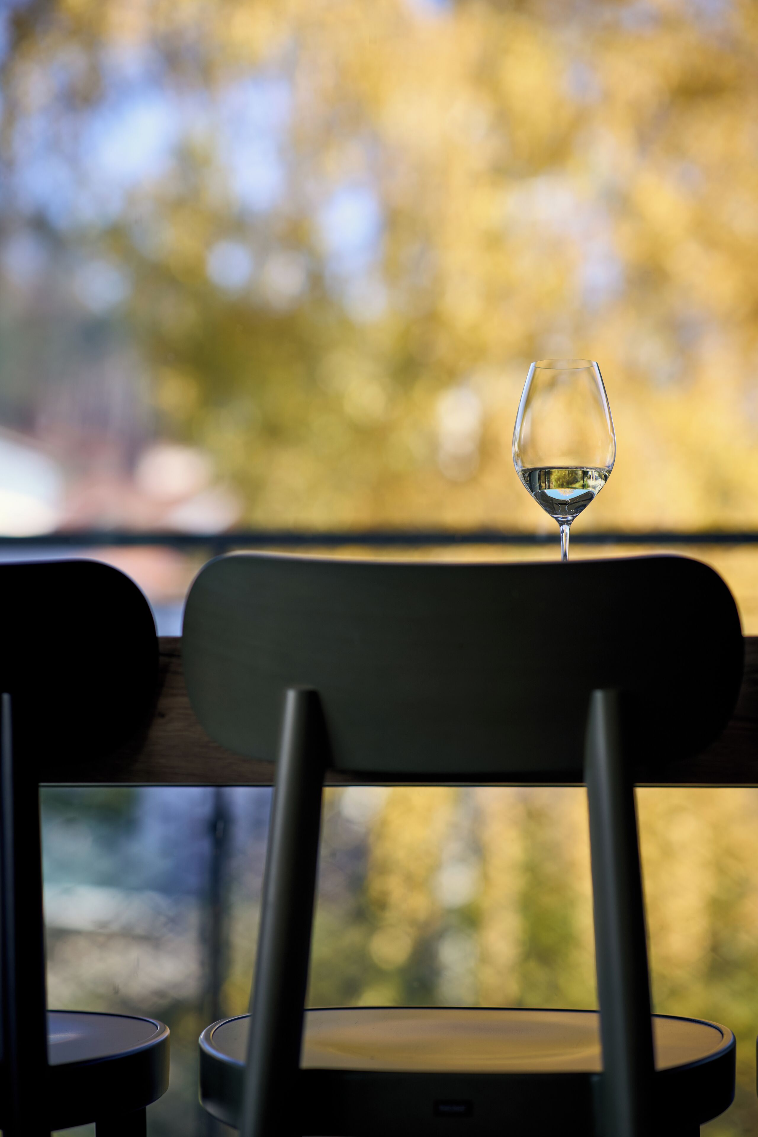 A wine glass on a chair with a blurred autumnal background.