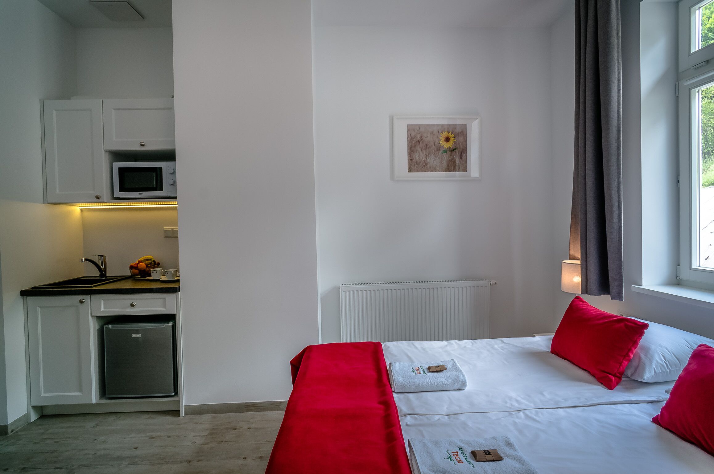 A compact room with a kitchenette, a bed with red bedding, a framed artwork, and a window with curtains.