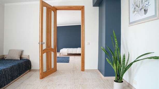 A room with a bed, a potted plant, and a door leading to another room.