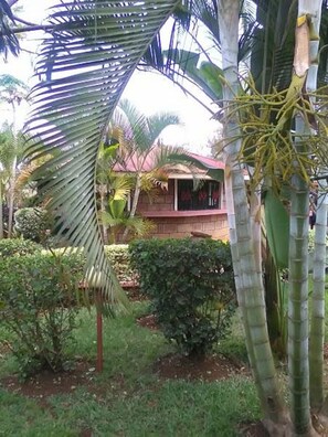 Garden - Jambo Village Hotel (Murang'a)