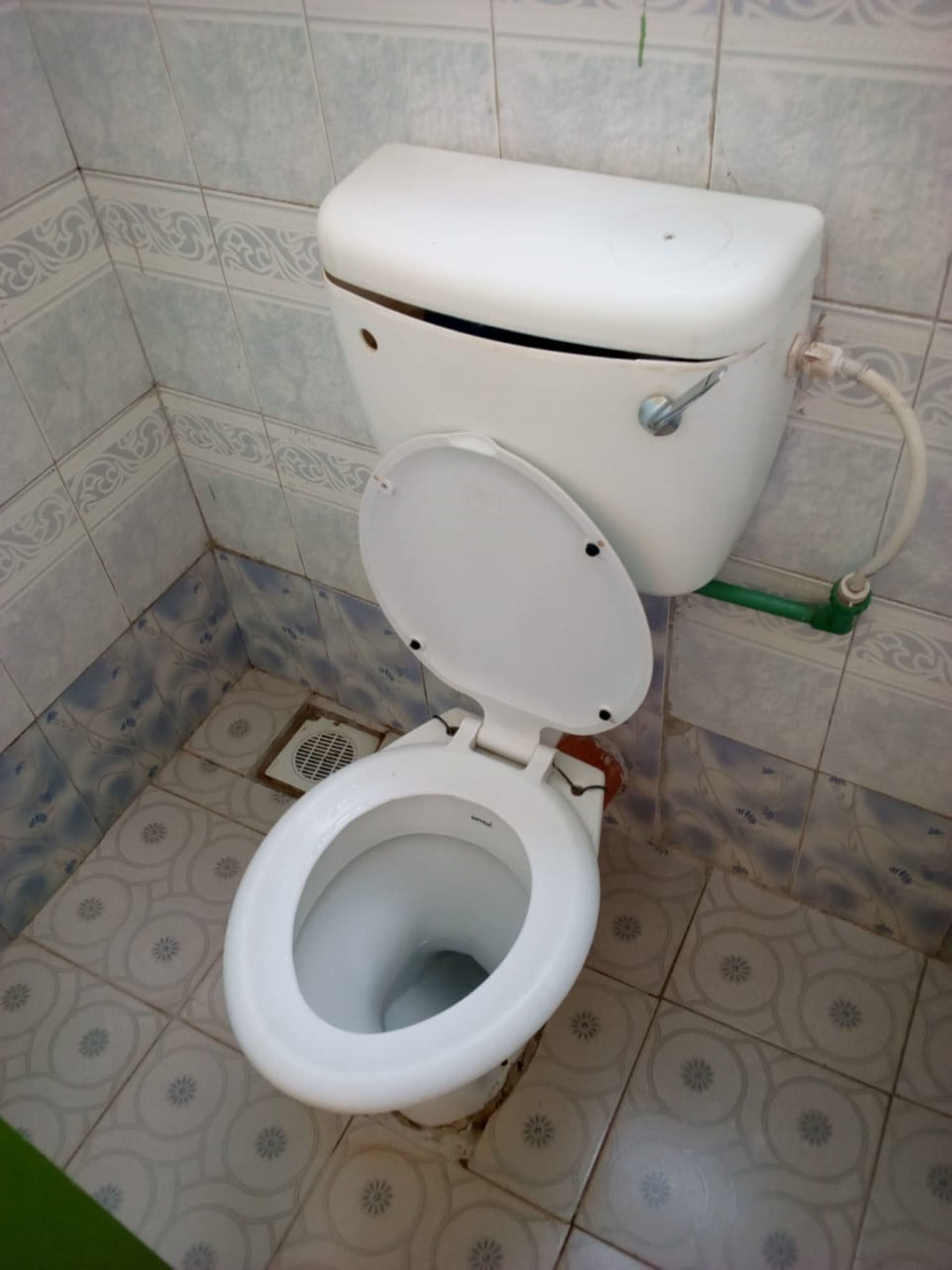 Baño | Ducha y cabezal de ducha tipo lluvia