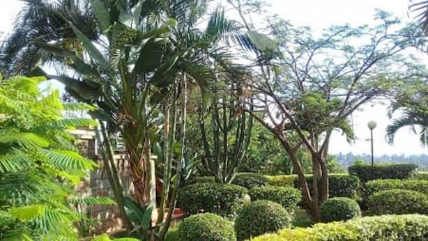 A well-maintained garden with various trees and shrubs, a paved walkway, and a lamp post. - Jambo Village Hotel (Murang'a)