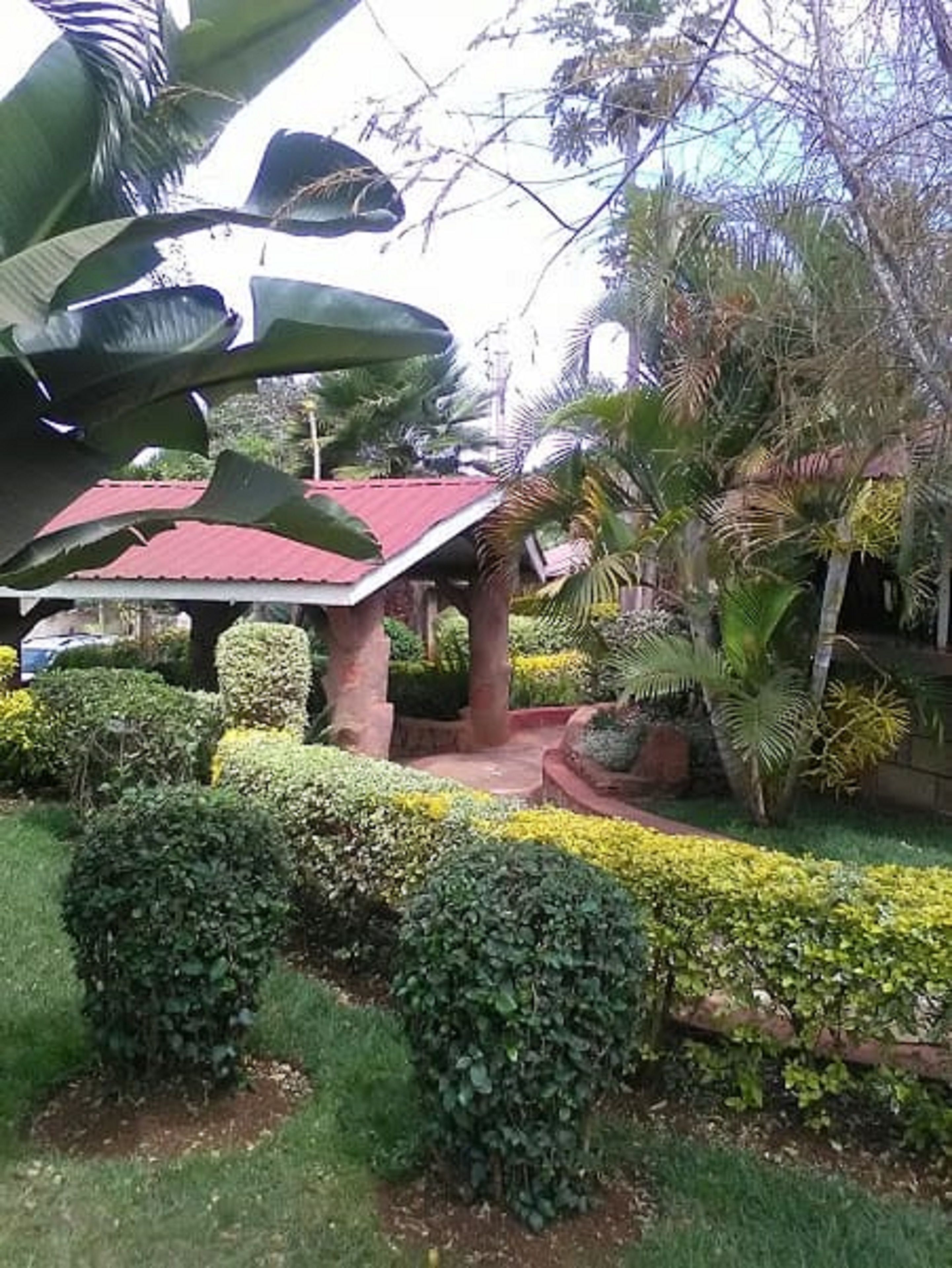 Un jardin agrémenté d’une structure à toit rouge, de différentes plantes et d’un grand arbre.