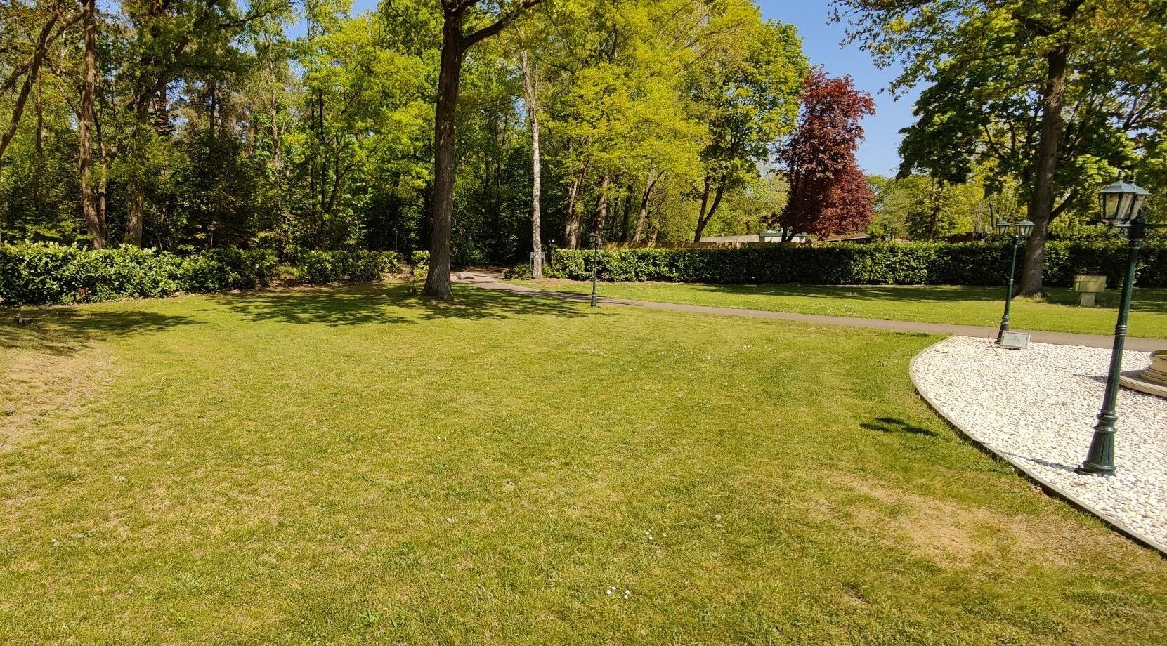 Un espacio verde cuidado con árboles y un sendero.