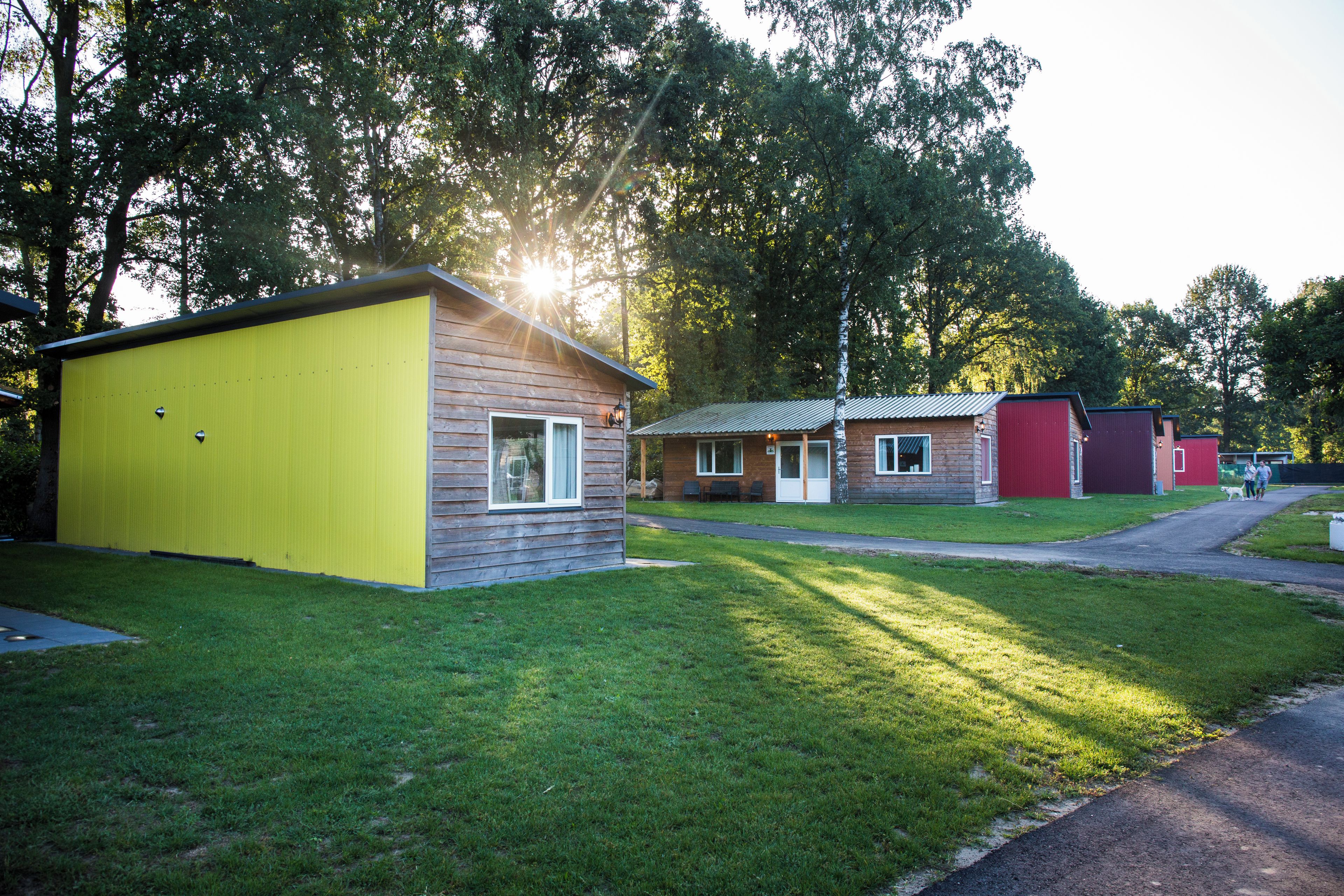 A row of cabins with a grassy yard and trees in the background.