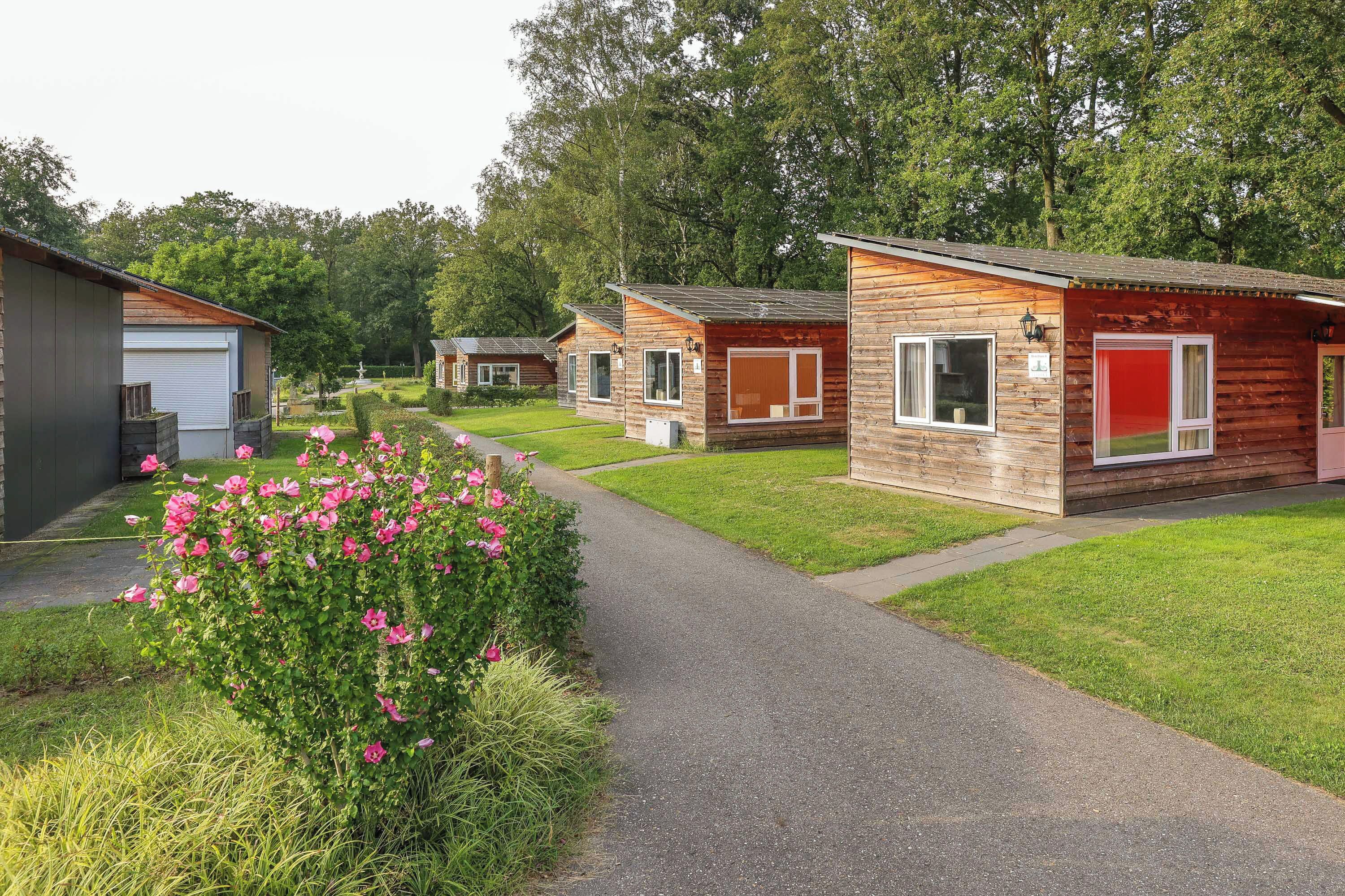 Een rij houten vakantiehuisjes met aanhangende garages, een verhard pad en een tuin met roze bloemen.