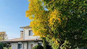 A house with a stone pathway leading to the entrance, surrounded by well-maintained lawns and trees. - B&B Beauty House (Cesena)