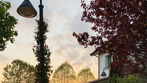A stone pathway leading to a house with a brick exterior, surrounded by well-maintained hedges and trees. - B&B Beauty House (Cesena)
