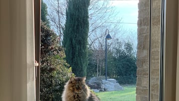 Phòng có tầm nhìn toàn cảnh | Bộ trải giường bằng vải Frette của Ý, bộ đồ giường cao cấp