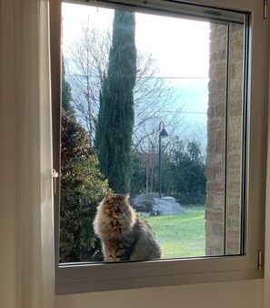 Rom – panorama | Italienske Frette-laken, sengetøy av topp kvalitet og dundyner