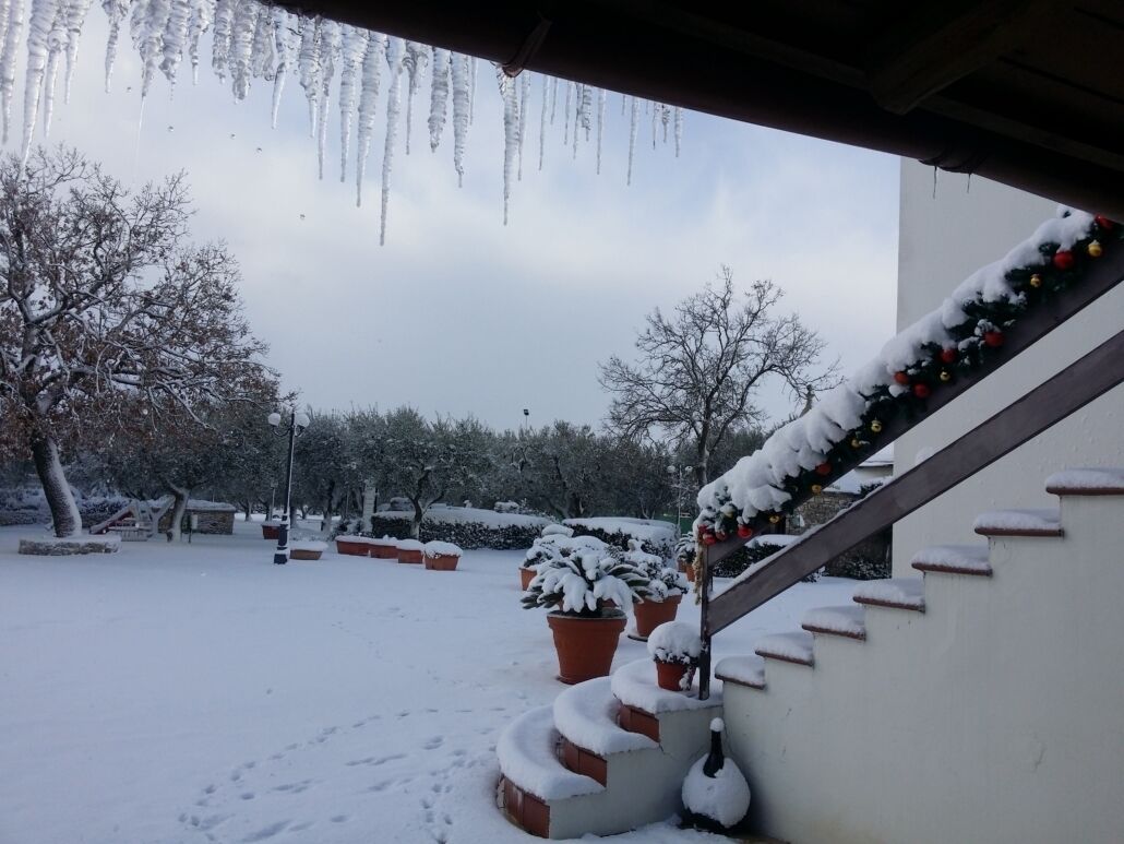 Un espacio exterior cubierto de nieve con una escalera, plantas en macetas y cascabeles de hielo colgando del tejado.