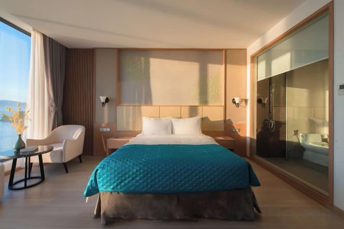 Hypo-allergenic bedding available, minibar, in-room safe, desk