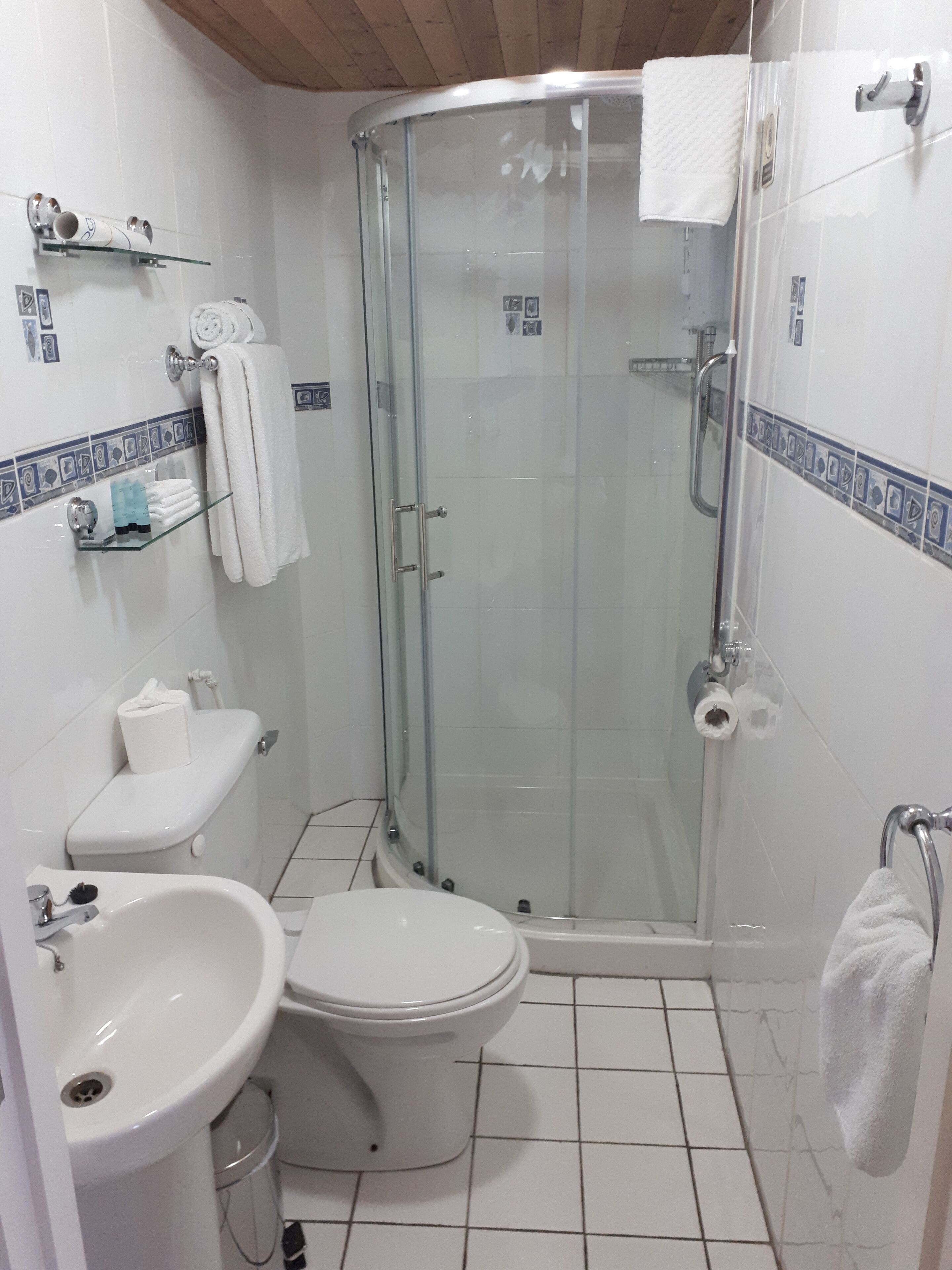 A small, modern bathroom with a glass-enclosed shower, a toilet, and a sink.