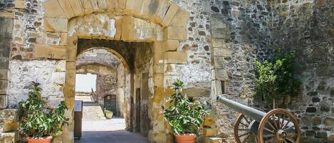 Un ingresso caratterizzato da un arco in pietra, affiancato da piante in vaso, che conduce a un cortile.