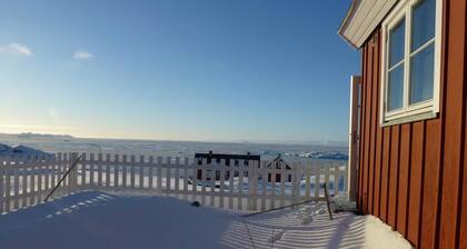 IceCap Lux