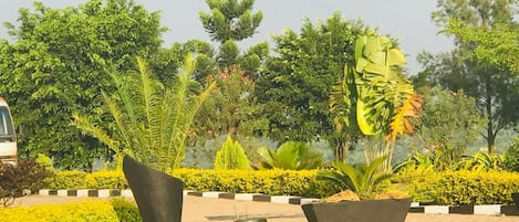 Jardín