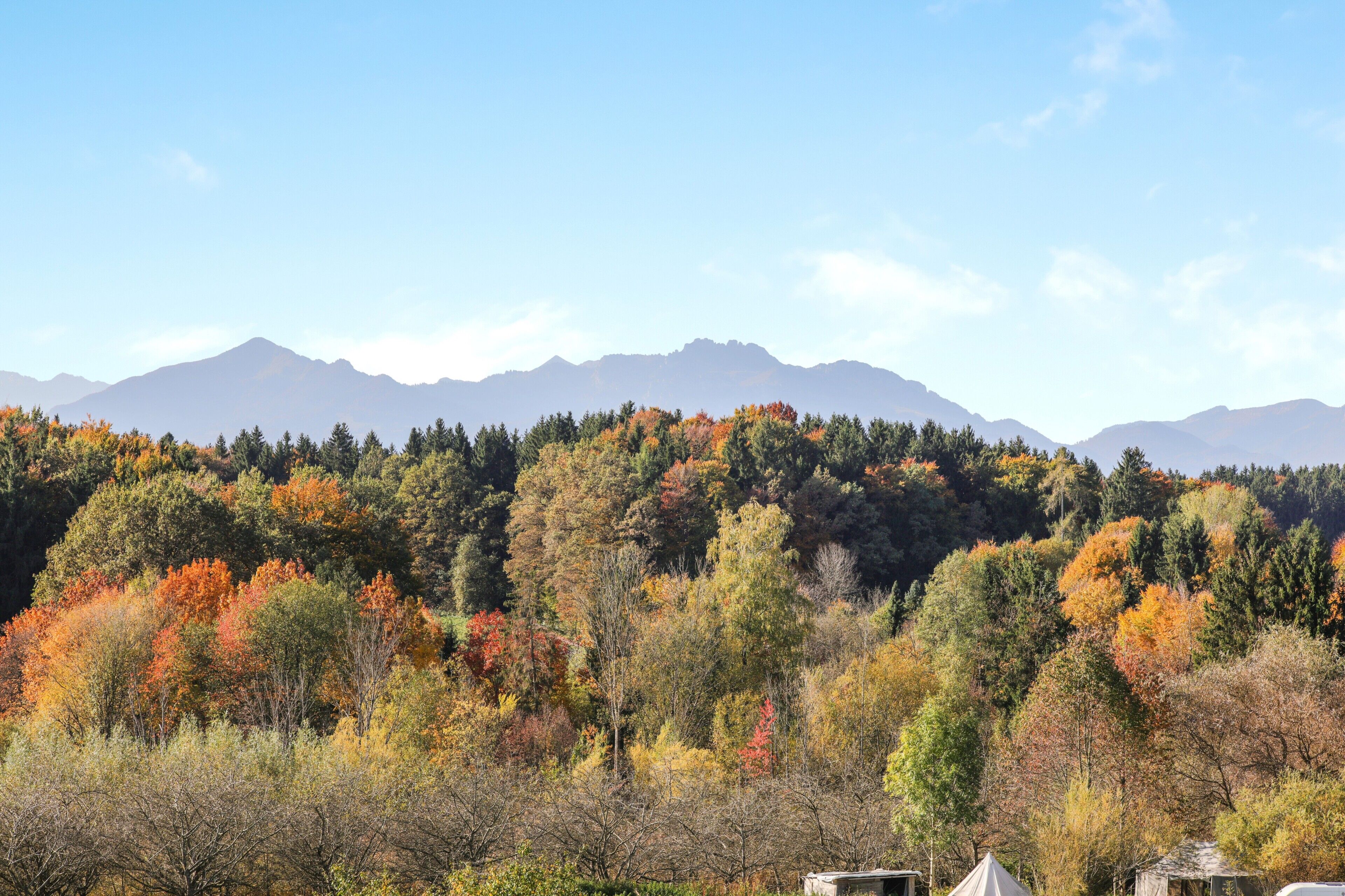 A mountainous landscape with autumn foliage and a clear sky.