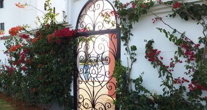 Luxury apartment + pools + wifi