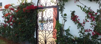 Luxury apartment + pools + wifi