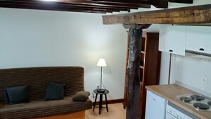 Un salon comprenant un canapé, une petite table avec une plante, une lampe, et un coin cuisine avec une cuisinière et des placards.