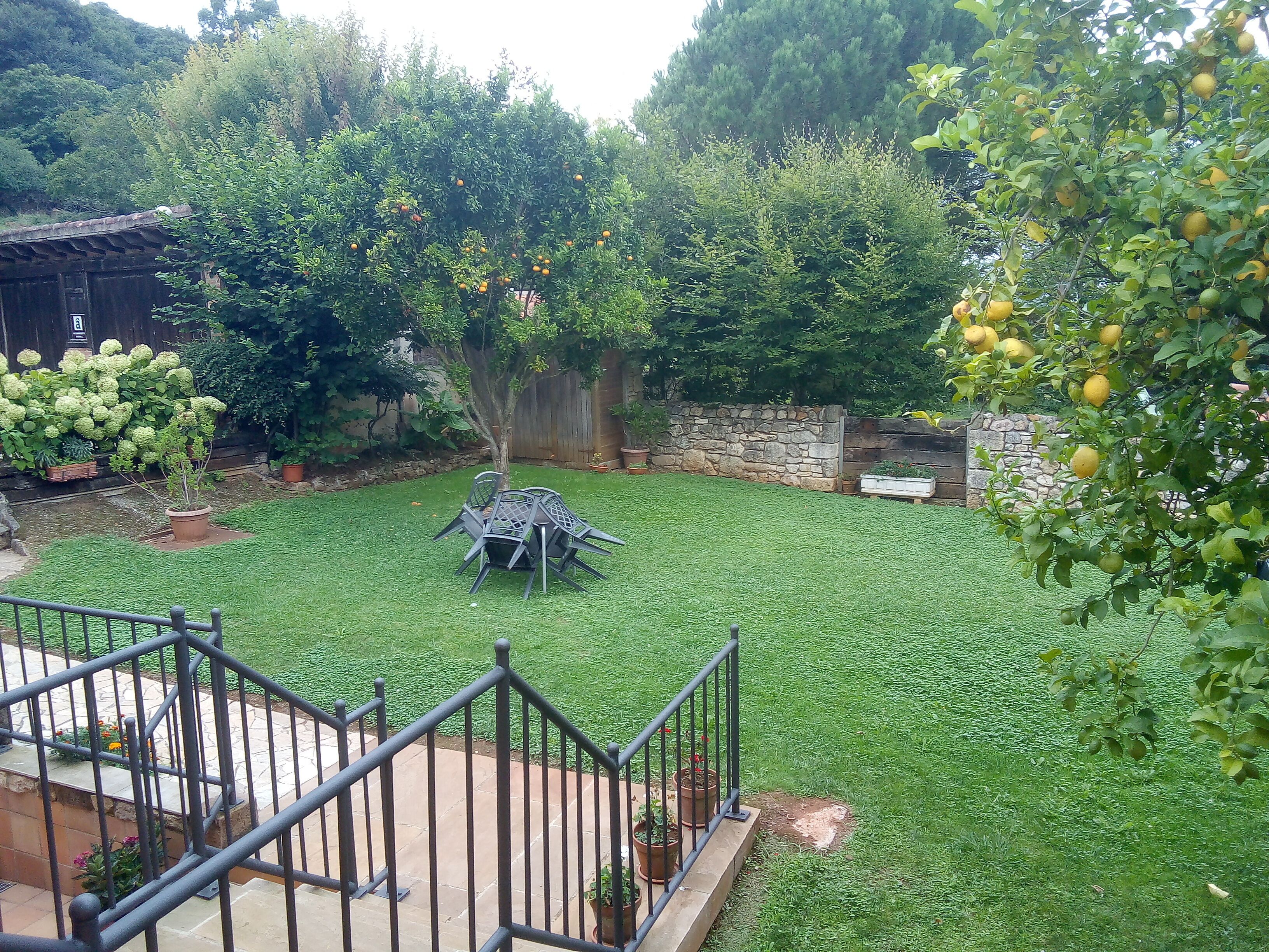 Un patio trasero bien cuidado, con césped, un muro de piedra y una variedad de plantas en macetas.