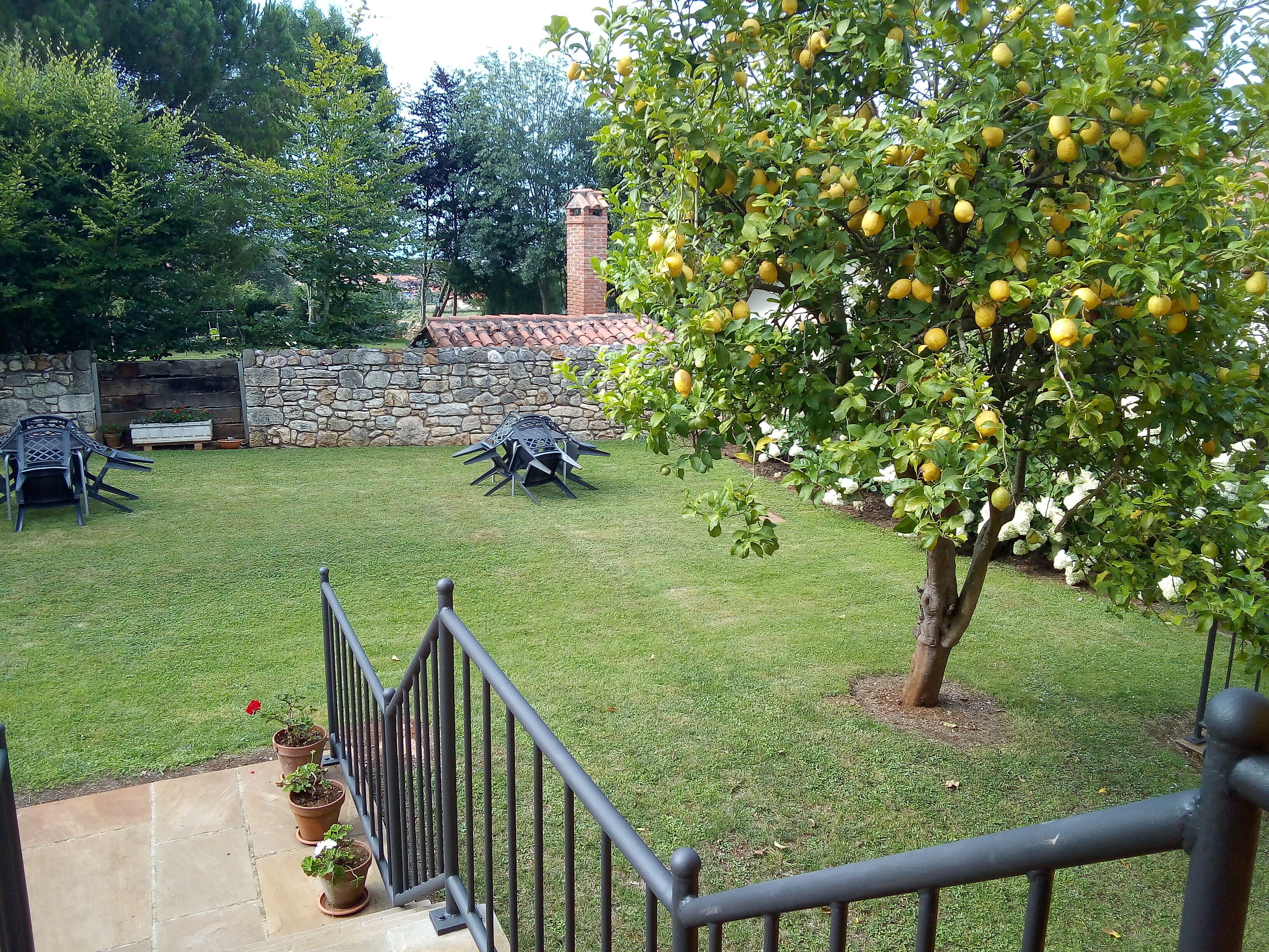 Parco della struttura