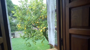 Eine offene Tür mit Blick auf einen Garten, ein Baum mit gelben Früchten und eine Steinmauer.